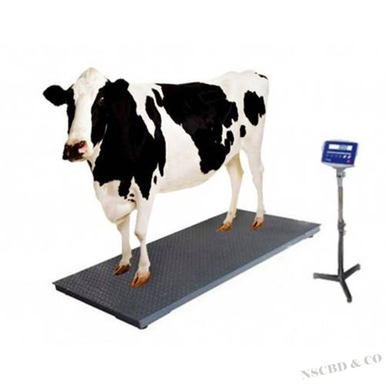 Cow Weight Scale And Animal, Goat Weight Scale In BD